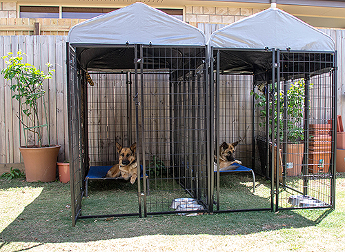 outdoor dog enclosures bunnings